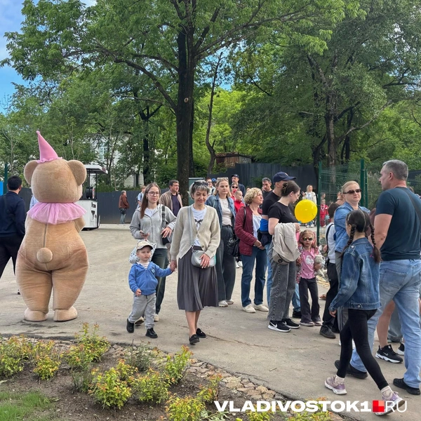Источник: Елена Буйвол / VLADIVOSTOK1.RU