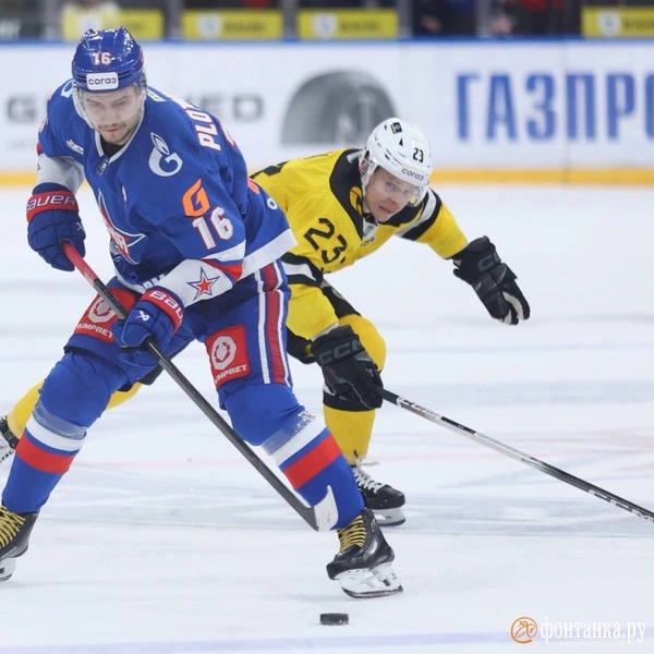 Источник: Сергей Михайличенко / FONTANKA.RU