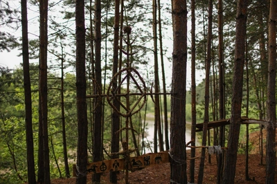 В Омском лесхозе назначили нового директора