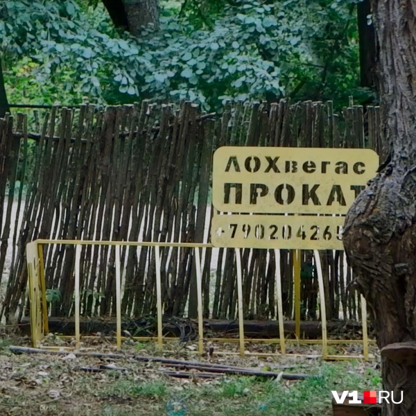 Источник: Илья Воробушкин / V1.RU