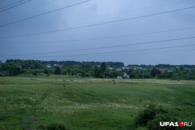 Настоящие башкирские луга | Источник: Булат Салихов / UFA1.RU
