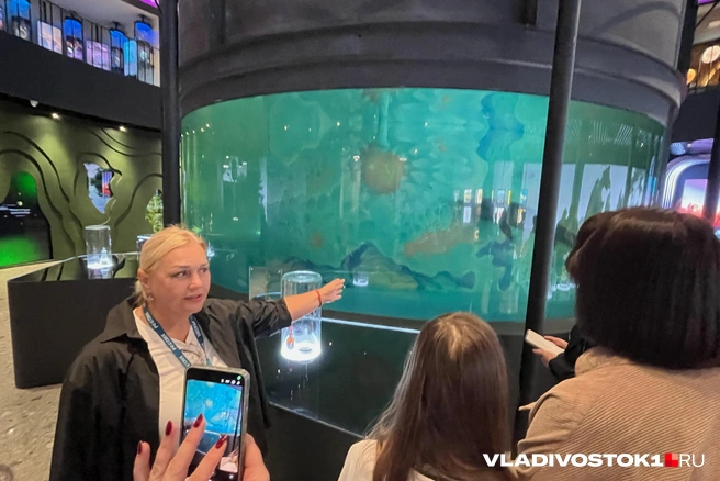 Источник: Елена Буйвол / VLADIVOSTOK1.RU