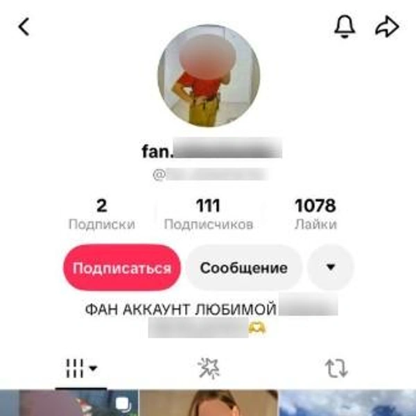 В роликах «фан-аккаунта» обсуждалась внешности Алины, ее поведение и семья | Источник: соцсети