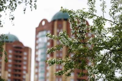 Апрельское тепло и дождь придут в Омск на выходных