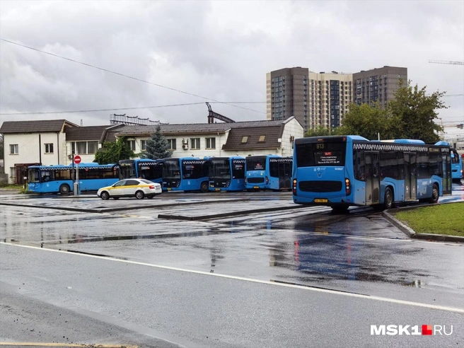 Каждая разовая поездка в транспорте будет обходиться на 12-15 рублей дороже, чем в январе прошлого года | Источник: Михаил Контуев / MSK1.RU