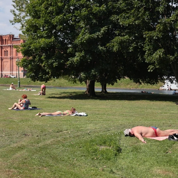 Источник: Валентин Егоршин / «Фонтанка.ру»