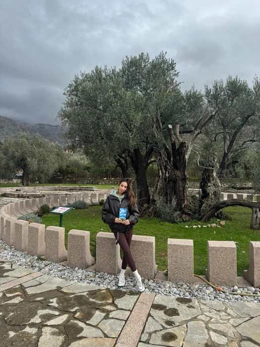 Древнейшее оливковое дерево | Источник: Габриелла Захарова / 26.RU