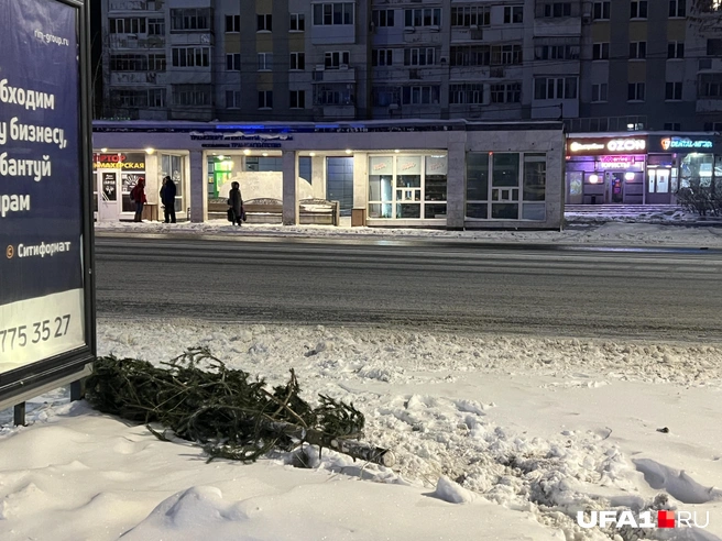 … и оставят вас умирать на белом, холодном окне | Источник: Андрей Бирюков / UFA1.RU