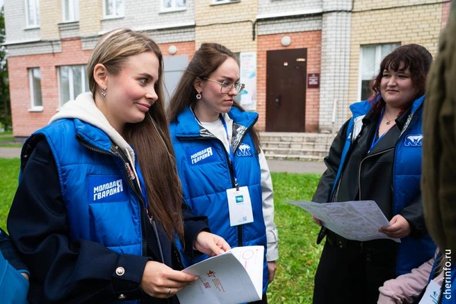Источник: st.cherinfo.ru