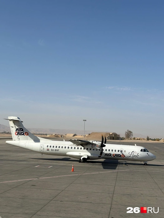 Источник: Габриелла Захарова / 26.RU