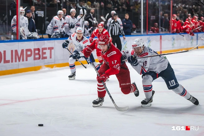 Источник: Евгений Вдовин / 161.RU