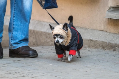 Погода в Иркутске: синоптики рассказали о недельном прогнозе