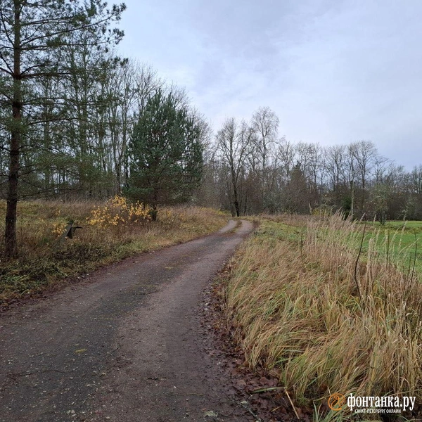 Источник: Ирина Багликова / «Фонтанка.ру»