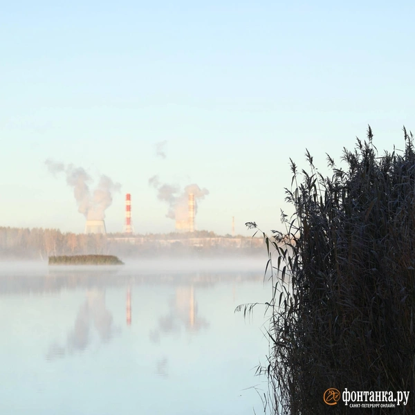 Источник: Сергей Михайличенко / «Фонтанка.ру»