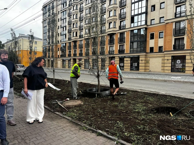 Полностью закончить работы должны через пару месяцев | Источник: Алена Яхтина / NGS.RU