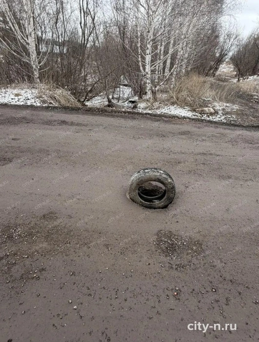 Источник: www.city-n.ru