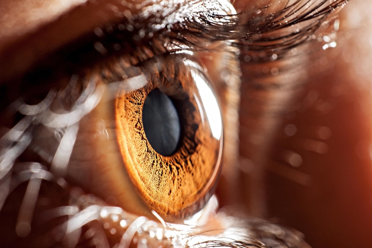 Что цвет глаз может рассказать о происхождении человека — вы будете удивлены