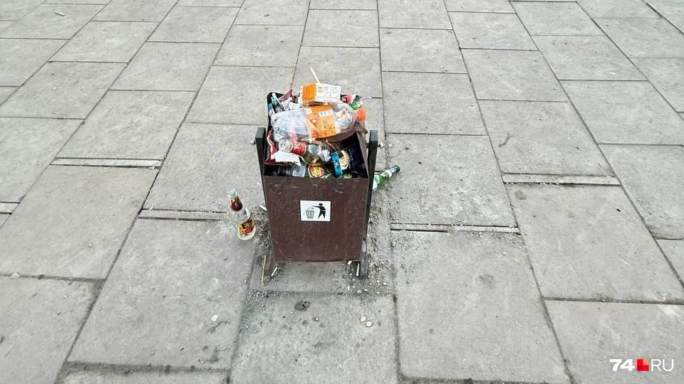 читатель 74.RU | Источник: Мы три дня наблюдали за мусоркой. Это фото сделано 18 ноября