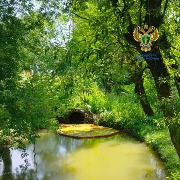 Источник: Прокуратура Москвы / T.me