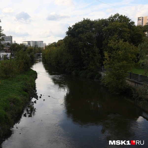 Источник: Артем Устюжанин / MSK1.RU