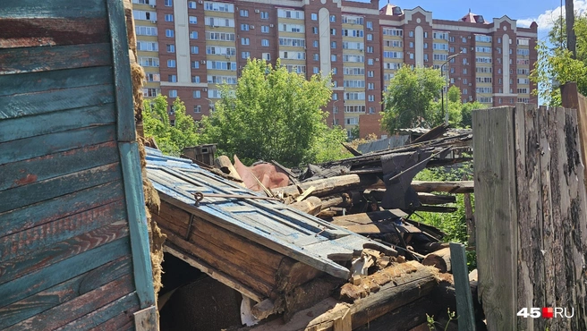 Вот такой вид из окна | Источник: Дарья Никитченко / 45.RU