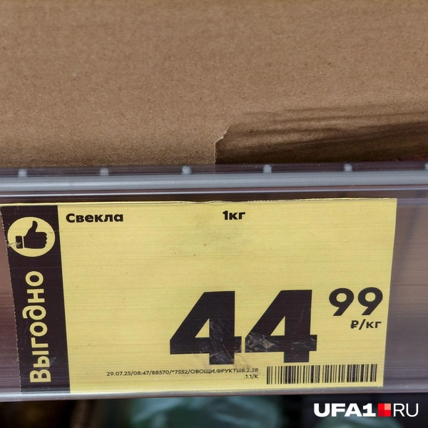 Источник: Булат Салихов / UFA1.RU