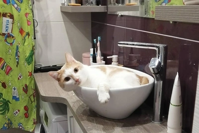 В Саратове объявили о плановом отключении воды