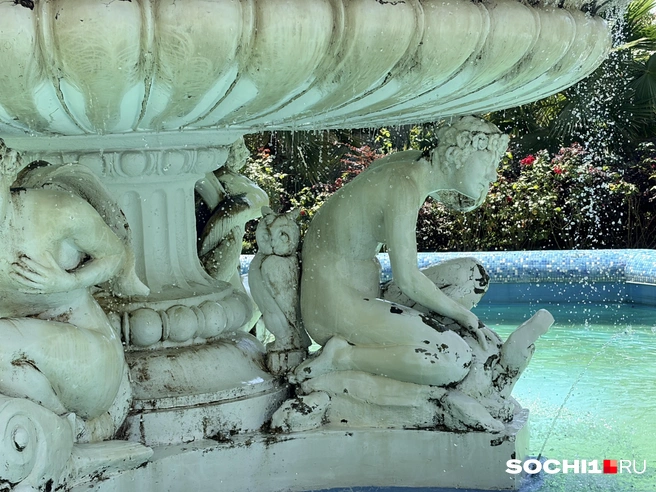 В Сочи отменили угрозу атаки БПЛА | Источник: Анна Грицевич / SOCHI1.RU