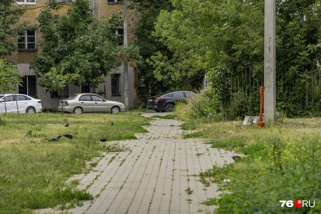 Теперь мы знаем, что есть улица без домов | Источник: Кирилл Поверинов / 76.RU