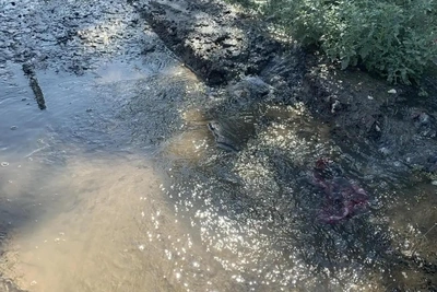 В Волгограде поток воды грозит смыть подстанцию: начат ремонт