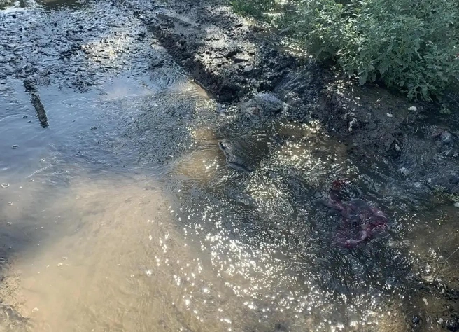 Горожане уверяют: с жалобами на потоп они обращались во всевозможные инстанции | Источник: читатели V1.RU