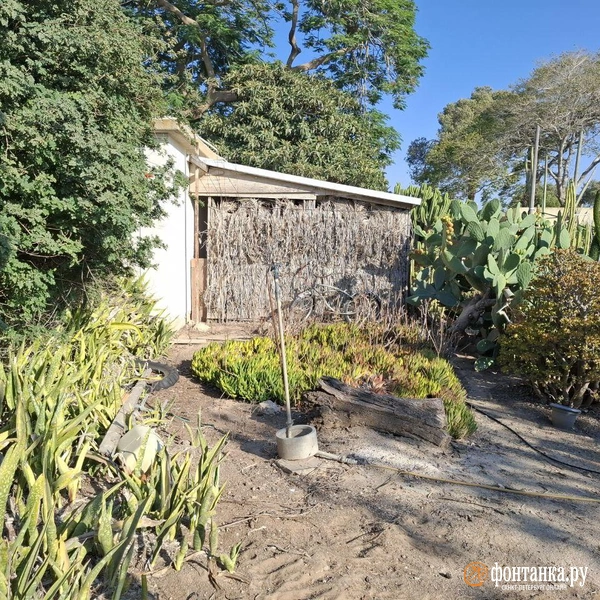 Источник: Ирина Багликова / «Фонтанка.ру»