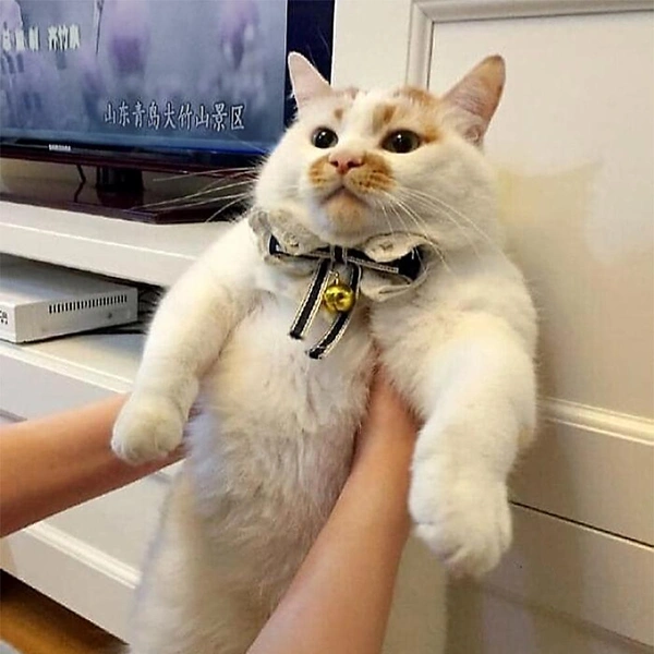 Источник: соцсети