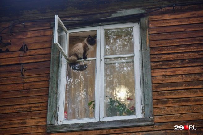 Источник: Иван Митюшёв