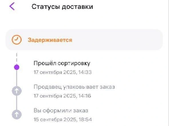 С 17 сентября в статусе заказа никаких изменений | Источник: читательница E1.RU Екатерина