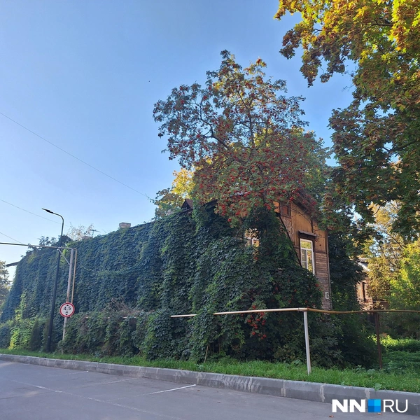 Дом на улице Гоголя, 16 | Источник: Валерия Коростелева / NN.RU