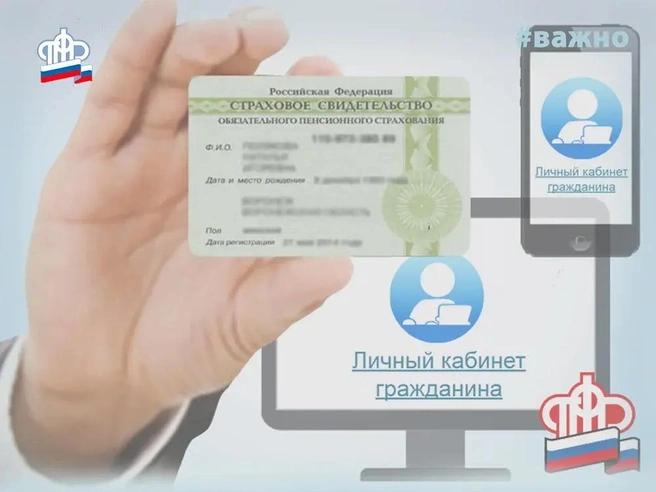 На случай, если вы забыли, как выглядит СНИЛС | Источник: Официальный сайт Социального фонда России