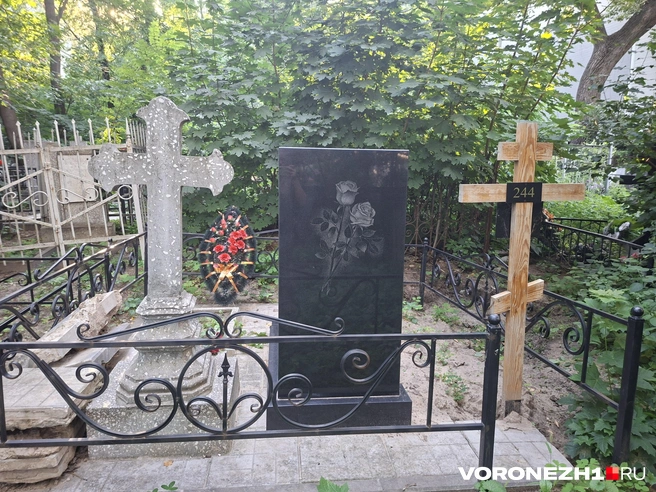 Источник: Алёна Воропаева / Voronezh1.ru