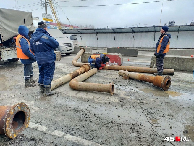 Источник: Надежда Тихомирова / 45.RU