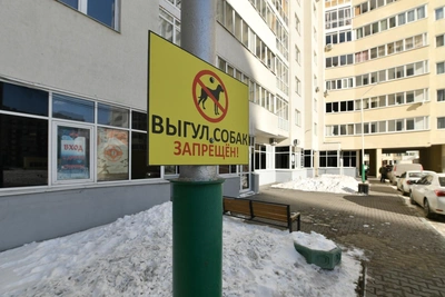 'Carry a German Shepherd?' Novosibirsk Residents on Proposed Dog Fine Hikes