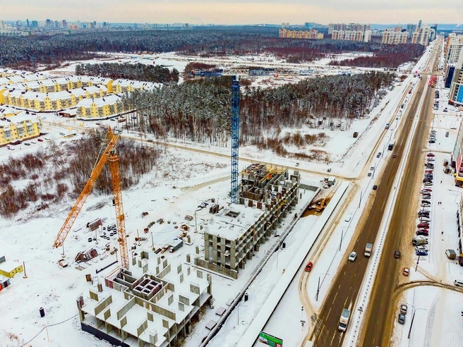 Рядом с кварталом сосновый лесок, который пока не планируют застраивать | Источник: «НКС-Девелопмент»