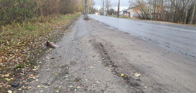 Тротуар на этом участке выглядит так в среднем большую часть времени | Источник: Михаил Шишов