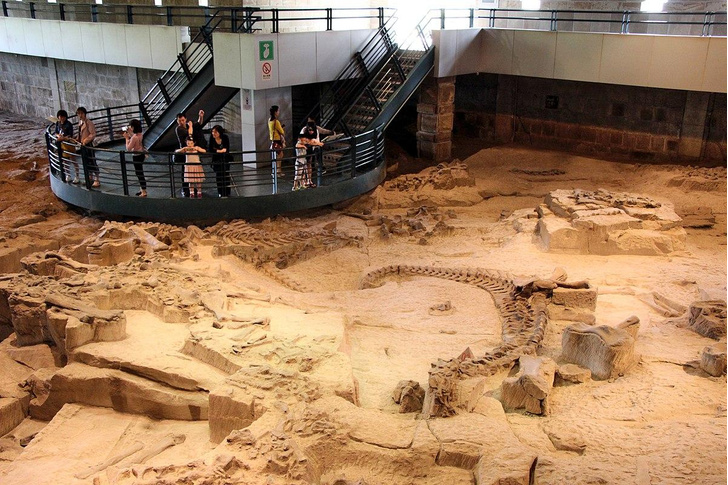 Сокровища под горой: самые интересные археологические музеи мира