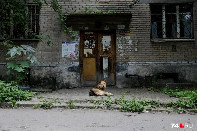 А тут отсутствие крепкой двери компенсирует «охрана» | Источник: Наталья Лапцевич