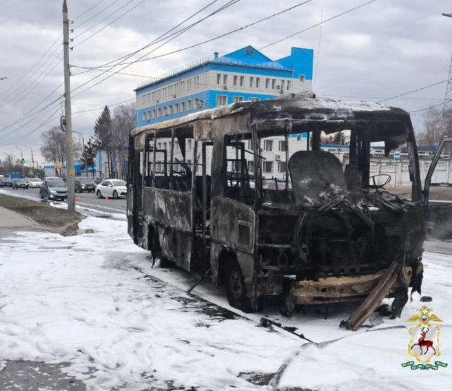 Источник: МВД по Нижегородской области