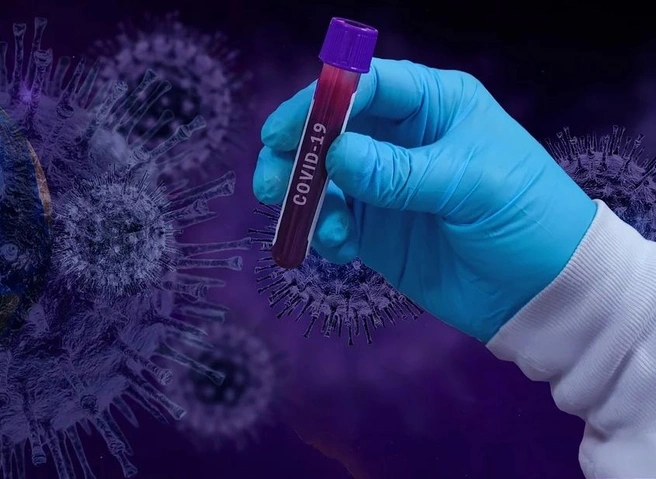 Опергруппа: обследование на коронавирус проходит 681 рязанец | ya62.ru