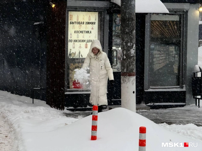 Источник: Артем Устюжанин / MSK1.RU