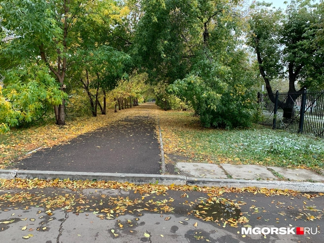 Но, похоже, это был первый звоночек, что золотая осень уходит | Источник: читатель MGORSK.RU