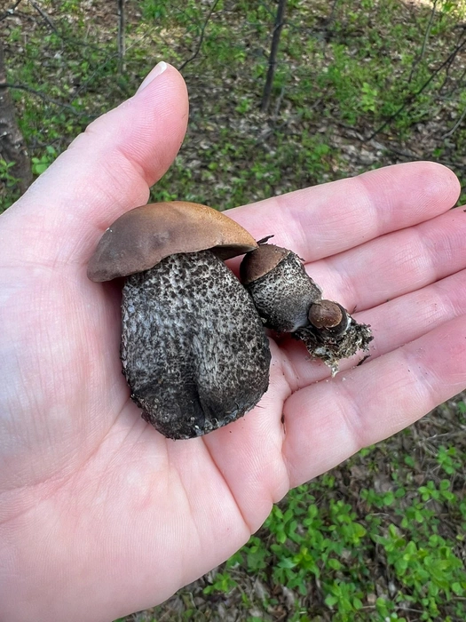 Источник: Наталия Петрунина