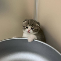 Аватарка Мари